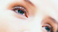 一项新的研究揭示了我们的眼睛如何迅速发现危险
