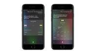苹果iOS 10.3测试版推出: Siri现在将显示板球更新