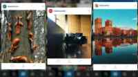 Instagram的Android应用程序可能很快就会具有3D触摸功能