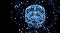 “大脑训练” 应用程序可改善轻度认知障碍患者的记忆力