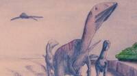 在马达加斯加发现的侏罗纪时代的鳄鱼，带有霸王龙的牙齿