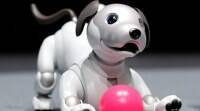 索尼作为AI项目10年后带回了AIBO机器狗