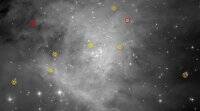 哈勃望远镜发现猎户座星云中最大的棕矮星种群